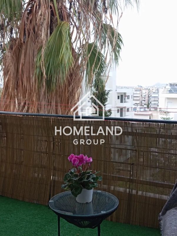 homelandgroup real estate agency