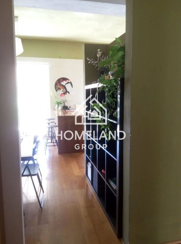 homelandgroup real estate agency