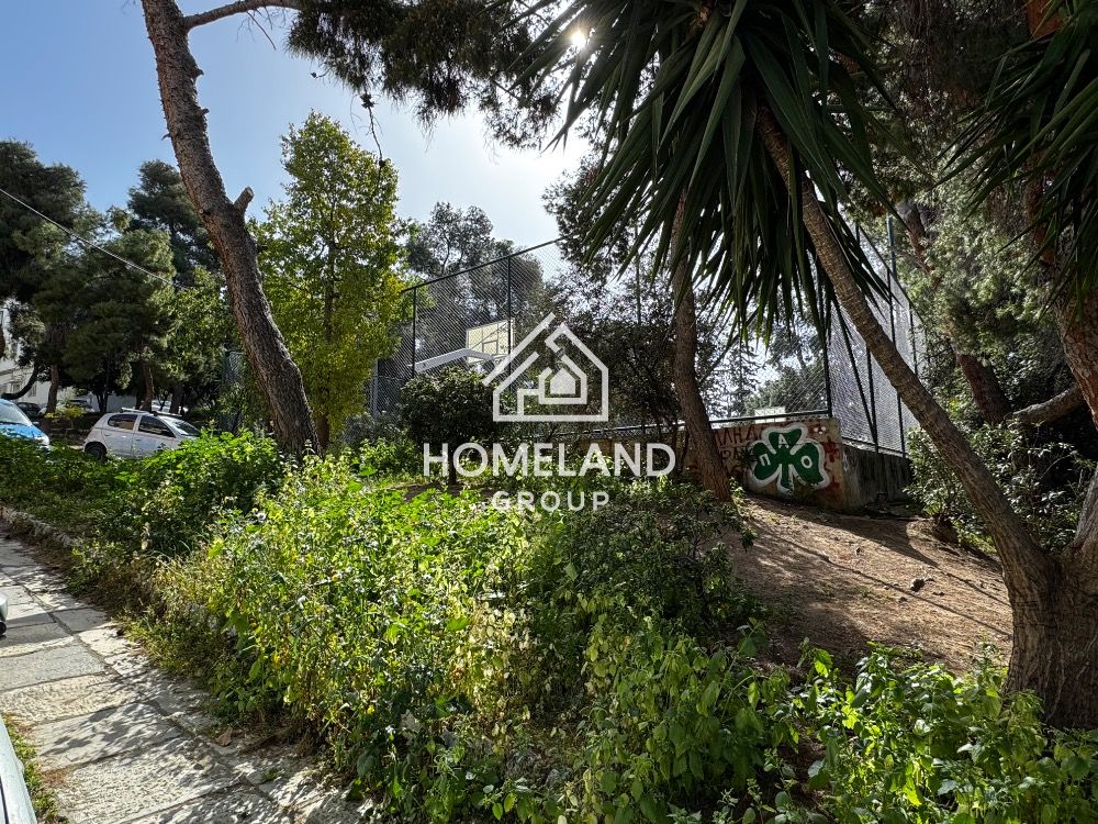homelandgroup real estate agency