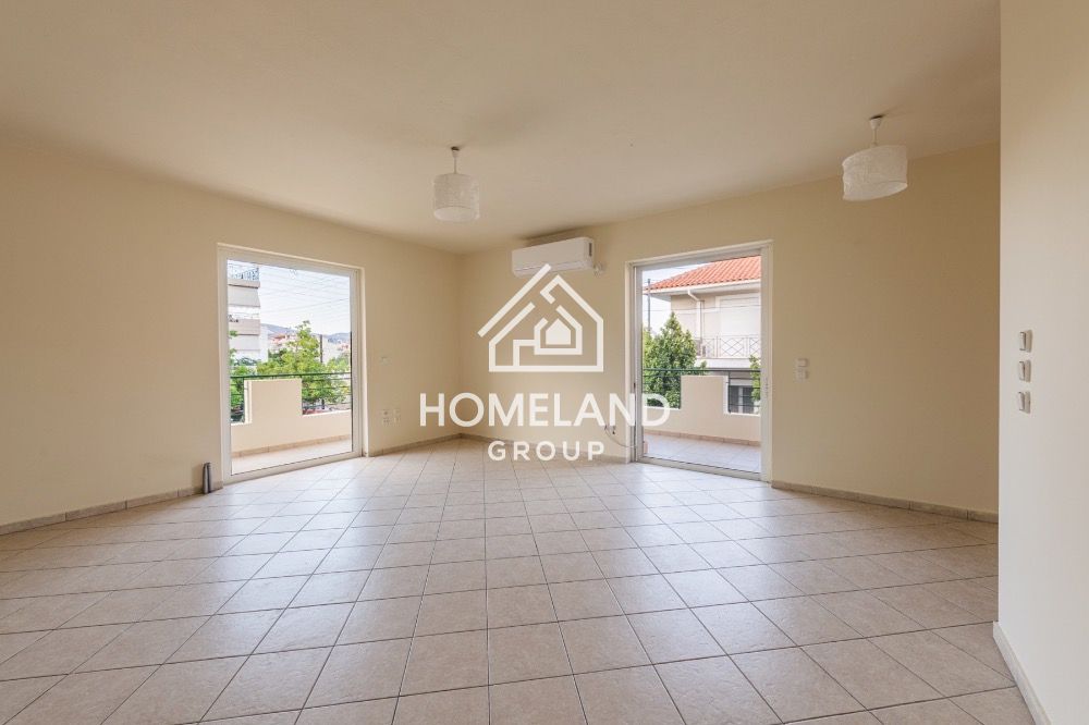homelandgroup real estate agency