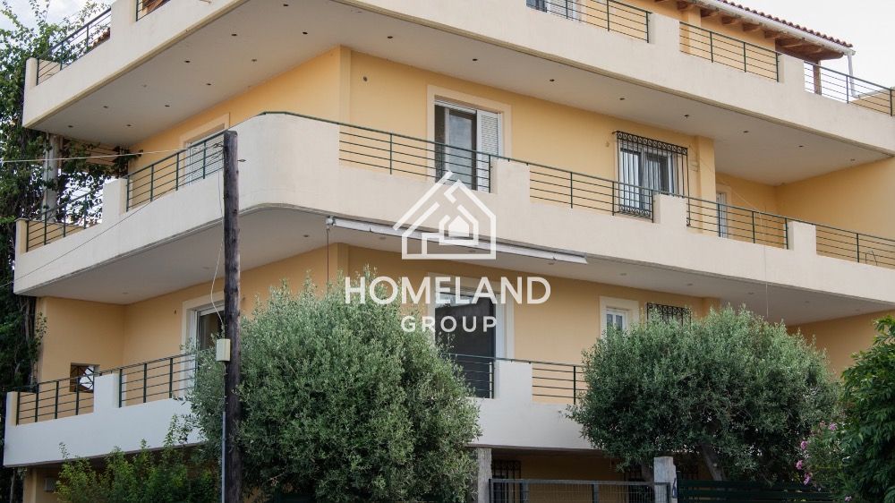homelandgroup real estate agency