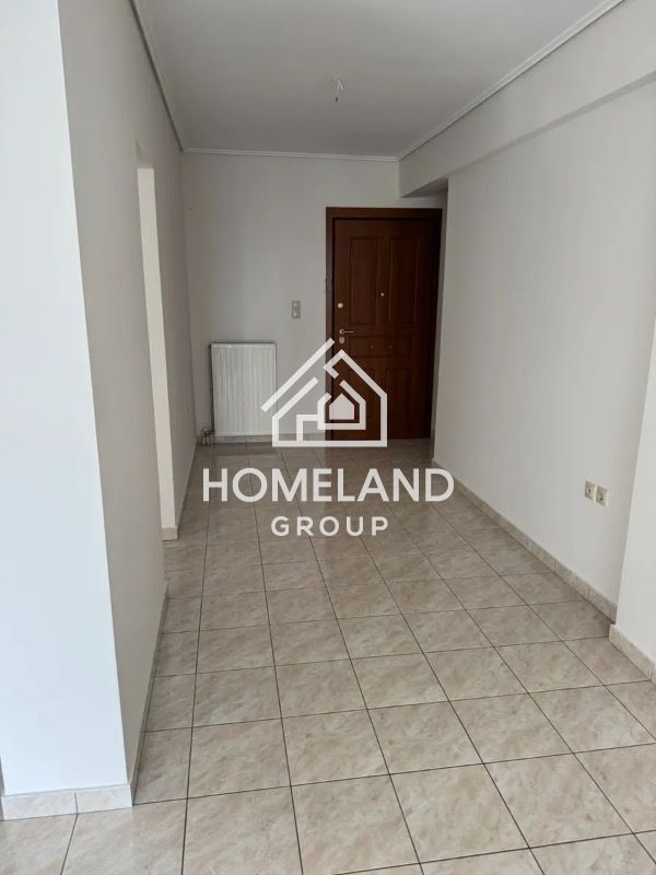 homelandgroup real estate agency