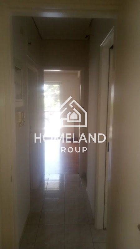 homelandgroup real estate agency