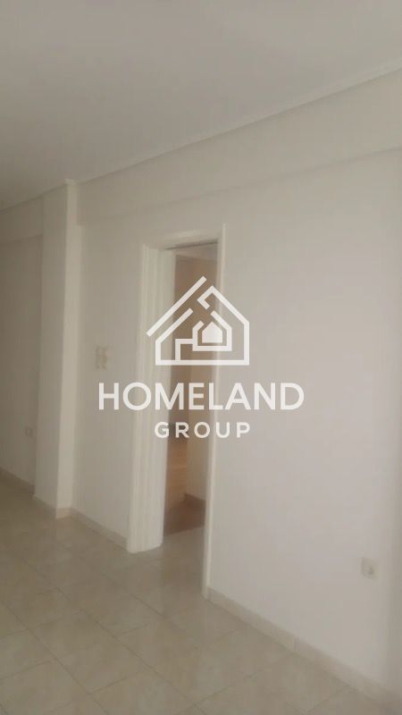 homelandgroup real estate agency