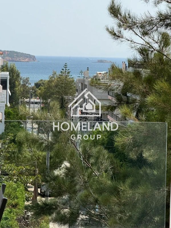 homelandgroup real estate agency