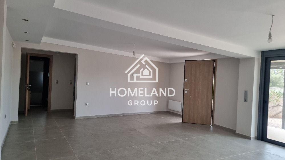 homelandgroup real estate agency