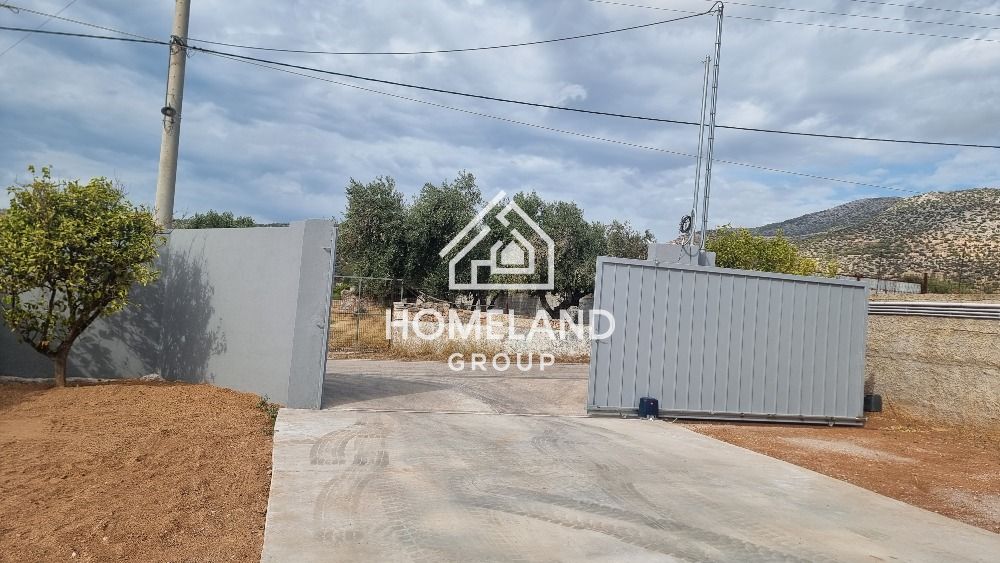 homelandgroup real estate agency