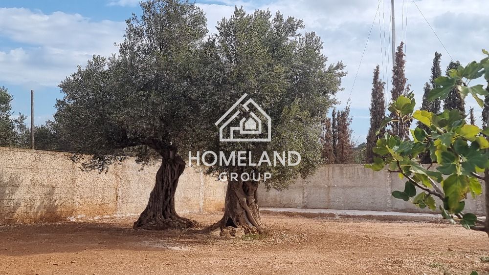 homelandgroup real estate agency