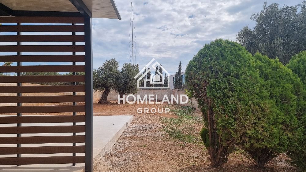 homelandgroup real estate agency